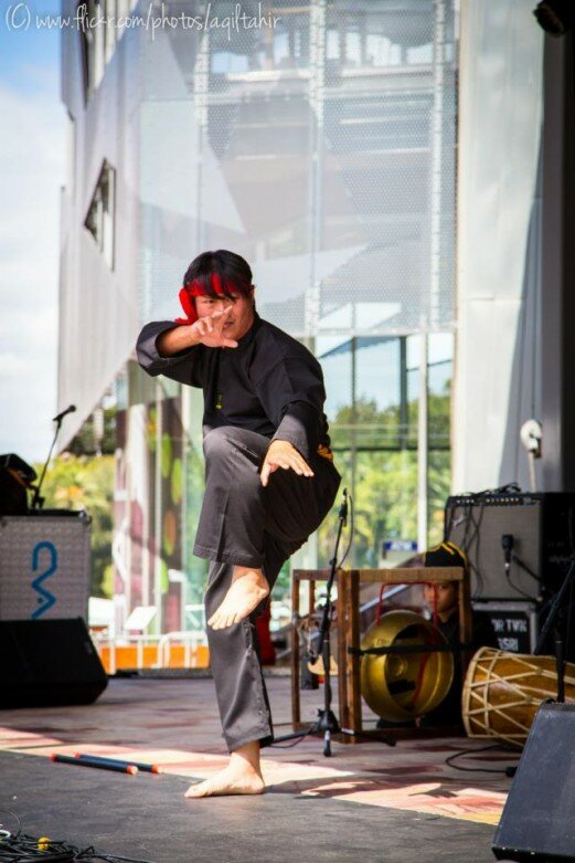 Martial Arts Performance