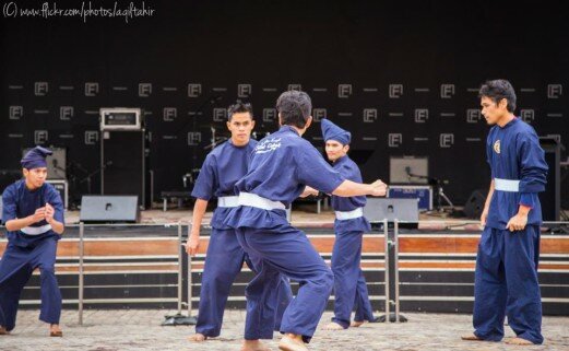 Martial Arts Performance