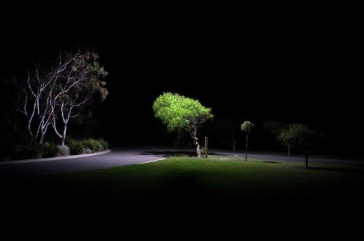 griffin bright1 low res